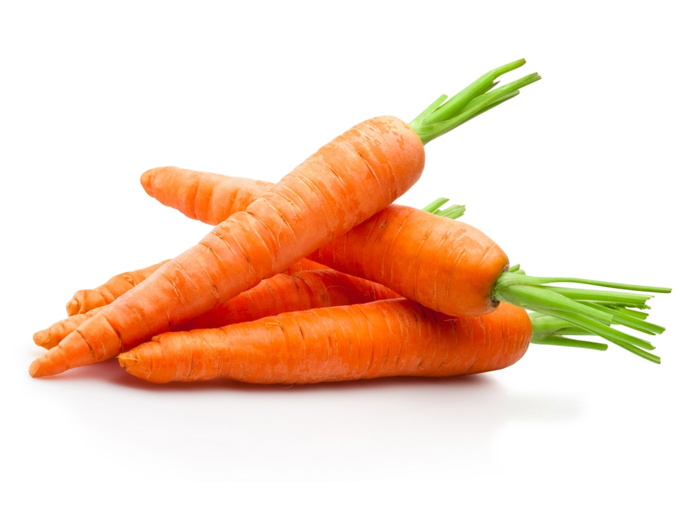 Carrot