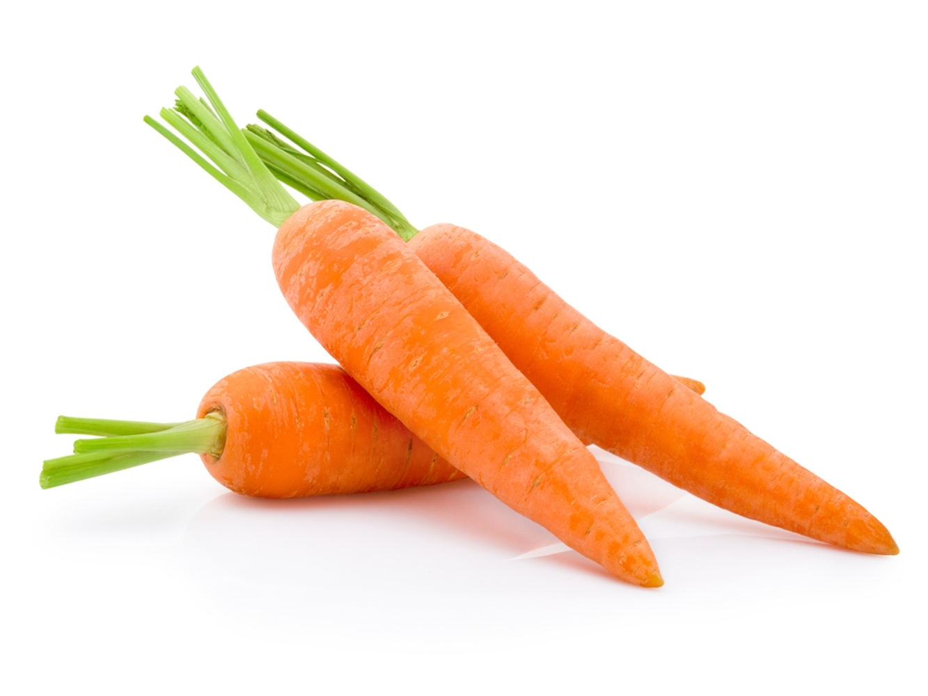 Carrot