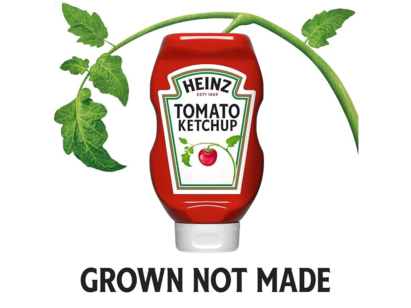 Heinz Tomato Ketchup
